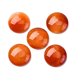 Темно-Оранжевый Природные кабошон агата, окрашенная и подогревом, полукруглые / купольные, темно-оранжевый, 30x8~8.5 мм