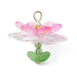 Pink Подвески из стекла и акрила, очарование лотоса, с золотой железной петлей, розовые, 31x35 мм, отверстие : 5x3.5 мм