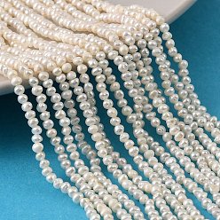 Снежный Нити из натурального культивированного пресноводного жемчуга, картофель, класс 4а+, снег, 2~3 мм, отверстие : 0.5 мм, около 161~173 шт / нитка, 15.08~15.35'' (38.3~39 см)