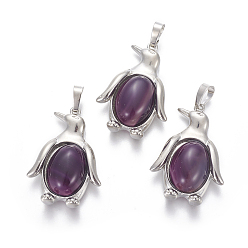 Натуральный Агат Природные подвески агат, с латунной фурнитурой , пингвин, платина, фиолетовые, 34~35x24~25x5~8 мм, отверстие : 8x5 мм