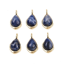 Содалитовое Подвески-слезинки из натурального содалита, с латунной, реальный 18 k позолоченный, без кадмия и без свинца, стойки покрытие, долговечный, 14x8x5 мм, отверстие : 2 мм