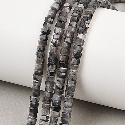 Larvikite Натуральные нити бус из ларвикита, граненые, шестиугольник, 4x4x2~2.5 мм, отверстие : 0.9 мм, около 156 шт / нитка, 15.24'' (38.7 см)