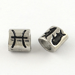 Рыбы Гладкая поверхность, устойчивая к потускнению 304 нержавеющая сталь европейская бусина, бусины с большим отверстием, овальное созвездие / знак зодиака, Рыбы, 9x8.5x6.5 мм, отверстие : 4.5 мм