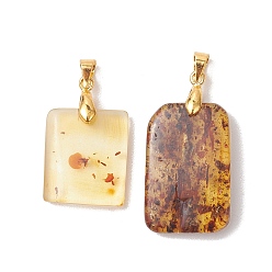 Золотой Подвески из натурального янтаря, прямоугольные подвески с латунными дужками, темно-золотистые, золотые, 19~26x16~16.5x3.5~5.5 мм, отверстие : 4.5x3.5 мм
