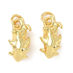 Питайи Латунные подвески, стойки покрытие, долговечный, без кадмия и без свинца, золотые, с целью перехода в кольце, питайи, 15x7.5x7.5 мм, отверстие : 3.5 мм