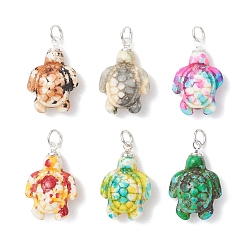 Серебро Окрашенные синтетические бирюзовые подвески, прелести черепахи, с 304 деталями из нержавеющей стали, разноцветные, серебряные, 22x14x7 мм, Перейти кольцо: 5x0.8 мм, внутренний диаметр: 3.5 мм