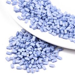 Светлый Стально-синий Fgb 2 стеклянные бусины для краски для выпечки, непрозрачные матовые цвета радуги, прямоугольные, светло-стальной синий, 4.5~5.5x2x2~2.5 мм, отверстие : 0.5~0.8 мм, около 2000 шт / упаковка