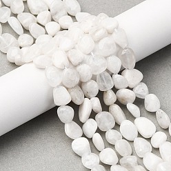 Rainbow Moonstone Бусины из натурального радужного лунного камня, самородки, упавший камень, 8.5~13x7.5~9.5x4~7.5 мм, отверстие : 1 мм, около 40~42 шт / нитка, 15.16''~15.55'' (38.5~39.5 см)