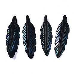 Темно-серый Природные подвески оболочки пресноводных, окрашенные, резной, перо, темно-серый, 42~43x12~13x4.5 мм, отверстие : 1.5 мм