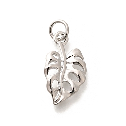Платина Латунные подвески, с целью перехода в кольце, долговечный, без свинца и без кадмия, лист прелести, платина, 18x10x1.5 мм, отверстие : 3.5 мм