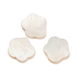 Blanc Cabochons de coquillages naturels, fleur, blanc, 7.5x7x1mm