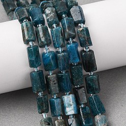 Апатит Природного апатита нитей бисера, граненые, колонка, с бисером, 10~14x6~8 мм, отверстие : 1.4~1.5 мм, около 28 шт / нитка, 15.83'' (40.2 см)