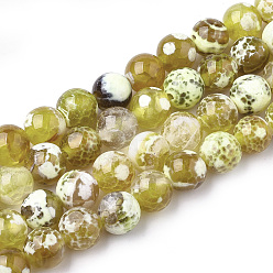 Темный Хаки Природные пожары треск агат бисер нитей, окрашенные, круглые, Темный хаки, 8 мм, отверстие : 1 мм, около 46~48 шт / нитка, 14.56 дюйм ~ 15.15 дюйм