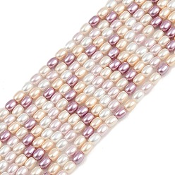 (52) Непрозрачная лаванда Гальванические оболочки жемчужные бусы пряди, рис, разноцветные, 3x2.5 мм, отверстие : 0.8 мм, около 119 шт / нитка, 15.94'' (40.5 см)