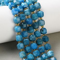 Apatite Natural Apatite Beads Strands, Faceted Table Cut Cube Beads, with Seed Beads, 6.5~7x6.5~7x6.5~7mm, Hole: 1mm, about 41~42pcs/strand, 15.16~15.39''(38.5~39.1cm)