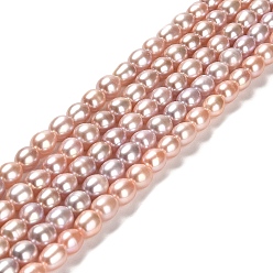 Dark Salmon Natural Cultured Freshwater Pearl Beads Strands, Rice, Grade 4A+, Dark Salmon, 6~8x5~6mm, Hole: 0.5mm, about 54pcs/strand, 14.65''(37.2cm)