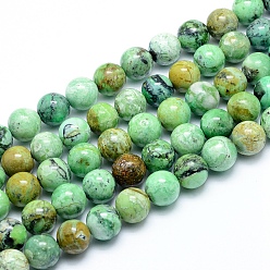 Варисцит Натуральные варицитовые бусины, круглые, 10~10.5 мм, отверстие : 1 мм, около 38 шт / нитка, 15.75 дюйм (40 см)