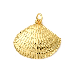 Настоящее золото 18K Латунные подвески, формы раковины, стойки покрытие, долговечный, без кадмия и без свинца, с целью перехода в кольце, реальный 18 k позолоченный, 21x24x3.5 мм, отверстие : 3 мм
