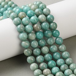 Амазонит Природных амазонит бисер нитей, круглые, 7.8~8.8 мм, отверстие : 0.8 мм, около 52~57 шт / нитка, 15.08~15.55 дюйм (38.3~39.5 см)