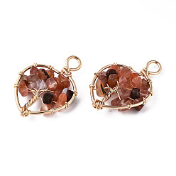 Red Agate Натуральный красный агат подвески, золотистая латунная проволока, дерево, сердце, 37~38.5x26~27x5.5~7.5 мм, отверстие : 4 мм