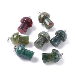 (RRHB277) Кристалл на подкладке из медово-бежевого цвета Природного индийского агата подвески, с латунной фурнитурой платинового цвета, гриб, 22~24x14~15 мм, отверстие : 2.4 мм