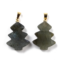 Labradorite Natural Labradorite Pendants, with Golden Tone Brass Findings, Tree, 26~27x18.5~19x5.5mm, Hole: 5x4mm