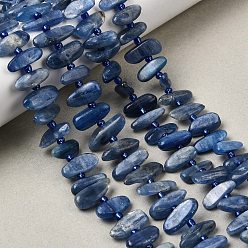 Кианит Натуральный кианитовые бисер пряди, самородки, с бисером, класс А, 9~16x4~8x3~8 мм, отверстие : 0.9 мм, около 47~55 шт / нитка, 15.35~16.14'' (39~41 см)