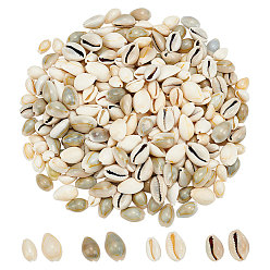 Морская Ракушка 260шт 4 бусины из ракушек каури, формы раковины, без отверстия , цвет морской раковины, 12~23x7~17x5~12 мм