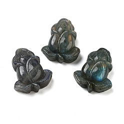 Лабрадорита Натуральный лабрадорит, резные кабошоны, цветок розы, 31x26x11.5 мм