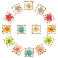 Mixed Color Epoxy Resin Pendants, with Dried Flower Inside and Light Gold Plated Alloy Open Back Bezel, Square, Mixed Color, 34x30x2mm, Hole: 1.8mm, 14pcs/box