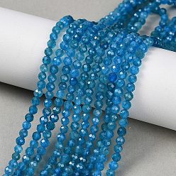 Апатит Природного апатита нитей бисера, круглые, граненые, 3 мм, отверстие : 0.5 мм, около 128~129 шт / нитка, 15.12''~15.28'' (38.4~38.8 см)