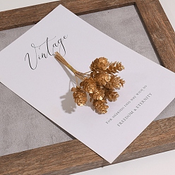 Золотистый Пластиковый искусственный рождественский кедровый орех, для елки, поздравительная открытка, украшение подарочной коробки, золотые, 110x60 мм