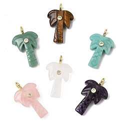 Смешанные камни Резные подвески из натурального смешанного камня, Подвески в виде кокосовых пальм с фурнитурой из прозрачных кубических цирконий, инкрустированной латунью методом микропаве., золотые, стойки покрытие, 35~36x21.5~22x0.5 мм, отверстие : 3.7 мм