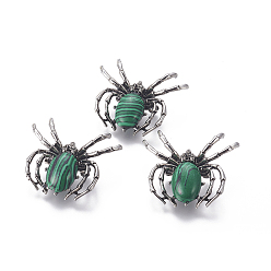 Малахит Синтетическая малахитовая брошь, с выводами из сплава и стекла, паук, античное серебро, 34~35x41~42x7 мм, отверстие : 3x5 мм
