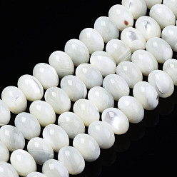 Seashell Color Natural Trochid Shell/Trochus Shell Beads Frames Strands, Rondelle, Bleach, Seashell Color, 7x5mm, Hole: 0.5mm, about 82pcs/strand, 15.94 inch(40.5cm)