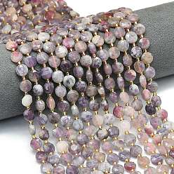 Турмалин Натуральный турмалин бисер нитей, граненый шестиугольный разрез, плоско-круглые, с бисером, 8~8.5x5 мм, отверстие : 0.8 мм, около 36 шт / нитка, 15.16''~15.24'' (38.5~38.7 см)