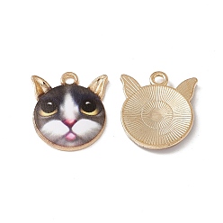 Разноцветный Стойки обшивки сплава эмали подвески, золотой свет, очарование кошачьей головы, красочный, 20x18x2.5 мм, отверстие : 2 мм