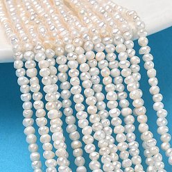 Beige Hilos de perlas de agua dulce cultivadas naturales, grado 2a++, patata, crema, 1.8~2.2 mm, agujero: 0.3 mm, sobre 181 unidades / cadena, 14.45'' (36.7 cm)