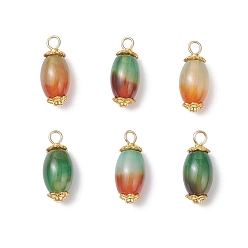 Peacock Agate 6 шт. подвесок из натурального павлиньего агата (окрашенного и подвергнутого термической обработке), рисовые прелести, с результатами сплава и 304 нержавеющей стали, золотые, два тона, 19.5x8 мм, отверстие : 2~2.5 мм