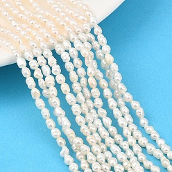 Папайя Оранжевый Нити из натурального культивированного пресноводного жемчуга, рис, класс +, papayawhip, 3~3.5 мм, отверстие : 0.5 мм, около 78~81 шт / нитка, 13.58~14.17'' (34.5~36 см)