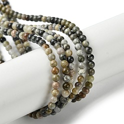 Серебряный Лист Джаспер Природное серебро листьев яшмы бисер нитей, круглые, 3 мм, отверстие : 0.5 мм, около 127 шт / нитка, 15.75'' (40 см)