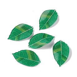 Green Autumn Theme Acrylic Pendants, for DIY Earring Decoration, Leaf, Green, 43x24x2mm, Hole: 1.6mm