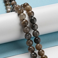 Black Moonstone Натуральный черный лунный камень бисер пряди, круглые, 8~9 мм, отверстие : 1 мм, около 50 шт / нитка, 15.35'' (39 см)