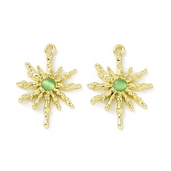 Зеленый Подвески для кошачьего глаза из сплава, солнечные чары, золотые, зелёные, 28.5x20.5x2.5 мм, отверстие : 1.6 мм