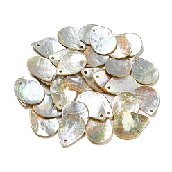 Белый Дым Подвески из натуральных ракушек акойя, окрашенные распылением, слезинки, серый, 19.5~20x14.5~15x2 мм, отверстие : 1.5 мм