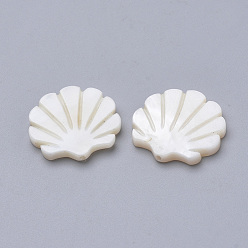 Creamy White Natural Freshwater Shell Beads, Scallop Shape, Creamy White, 15x15.5x2.5mm, Hole: 1mm