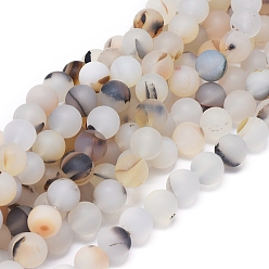 Дендритный Агат Нити из натурального дендритного агата, матовые, круглые, 10~10.5 мм, отверстие : 0.8 мм, около 38 шт / нитка, 15.35 дюйм (39 см)