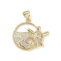 Turtle Латунные микро проложить кубического циркония подвески, без кадмия и без свинца, реальный 16 k позолоченный, черепаха, 20.5x23x5 мм, отверстие : 5x3.5 мм