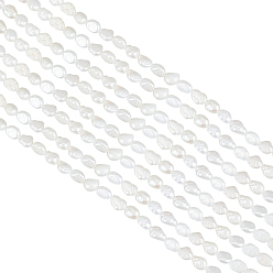 Кремово-белый 2 бусины из натурального культивированного пресноводного жемчуга, жемчужные бусы в стиле барокко кеши, двух сторон полированной, кремово-белые, 5~6x3~4x3~4 мм, отверстие : 0.5 мм, около 33~34 шт / нитка, 7.09~7.32'' (18~18.6 см)