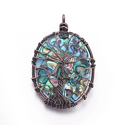 Red Copper Abalone Shell/Paua Shell Wire Wrapped Big Pendants, with Brass Findings, Oval with Tree, Red Copper, 55~56.5x35.5~36x7.5~8.5mm, Hole: 4.5~6.5x6.5~8.5mm